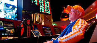 Как войти на сайт DBbet Casino